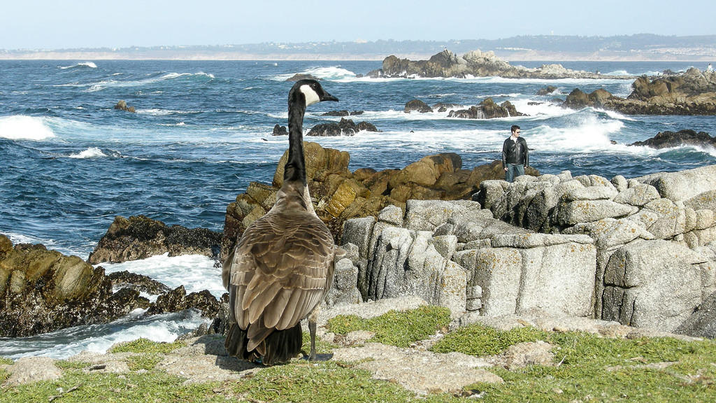 Asilomar_CL08-4536