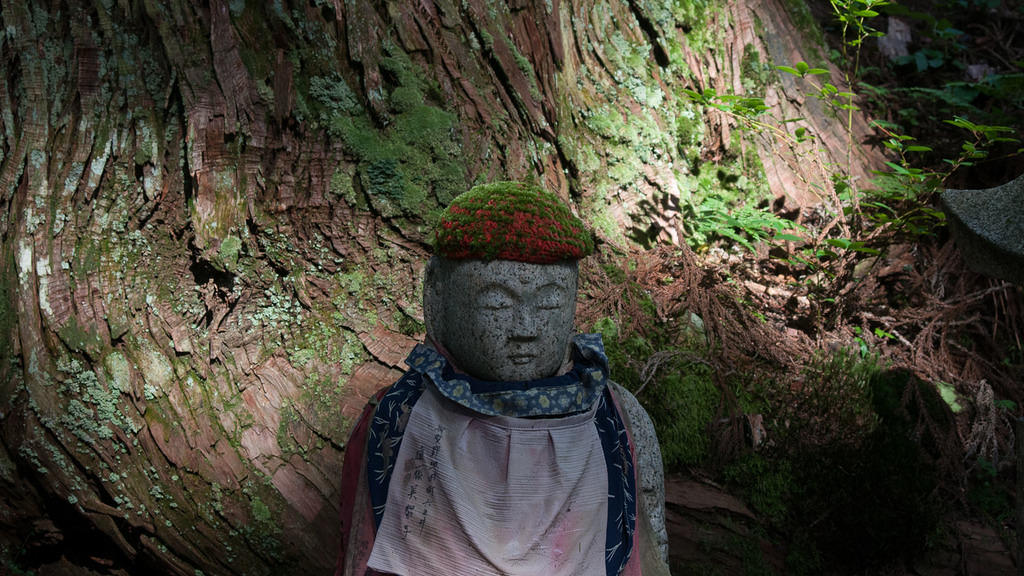 Koyasan_Okunoin_CL11-7705-2