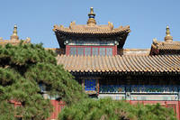 Beijing_CL12-6103