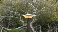 Asilomar_CL08-4526