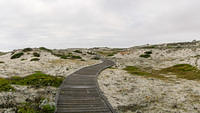 Asilomar_Panorama1