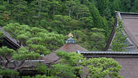 Koyasan_CL11-7667