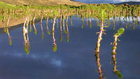 West_Tibet_CL07-1060