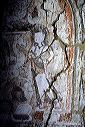 alchi_cl98_119_35