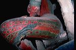 tabodk_cl94_94_16