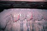 taboc_cl94_117_17