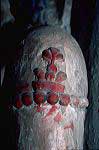 taboc_cl94_117_29