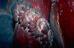 taboc_cl94_118_19