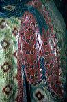 taboc_jp84_172