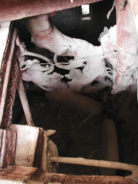 dscn8222.jpg