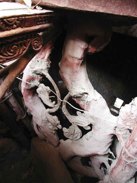 dscn8226.jpg