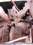 dscn8224